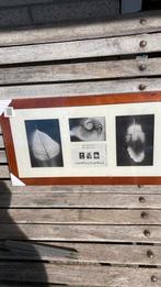 Fotolijst nieuw 55 x 30, Ophalen of Verzenden, Zo goed als nieuw