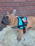 Karlie tuigje "shark", Dieren en Toebehoren, Honden-accessoires, Ophalen of Verzenden, Nieuw