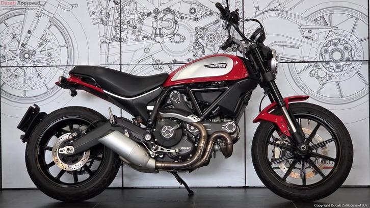 Ducati SCRAMBLER ICON (bj 2015), Motoren, Motoren | Ducati, Bedrijf, Naked bike, meer dan 35 kW