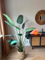 Prachtige kunst plant te koop inclusief mand, Ophalen of Verzenden, Halfschaduw, Minder dan 100 cm