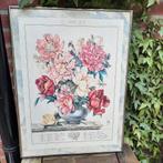 Prent "Peony" in zilverkleurige lijst., Ophalen of Verzenden, Schilderij