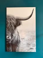 Foto schilderij hooglander, Huis en Inrichting, Woonaccessoires | Schilderijen, Tekeningen en Foto's, Ophalen, Zo goed als nieuw