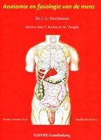 Anatomie En Fysiologie Van De Mens - Kirchmann 9789035232044, Boeken, Ophalen of Verzenden, Zo goed als nieuw, Dr. L. L. Kirchmann