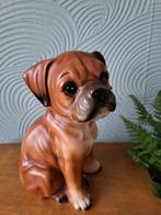 Lief vintage porselein hond boxer pup beeld., Ophalen of Verzenden