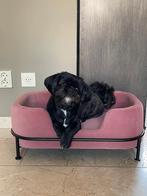 Leitmotiv Hondenmand Puffed velvet roze, Ophalen of Verzenden, Zo goed als nieuw, Stof