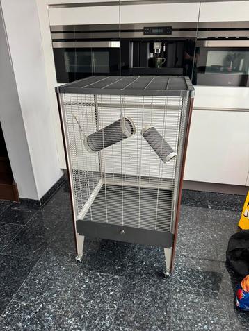 Knaagdieren/vogelkooi beschikbaar voor biedingen
