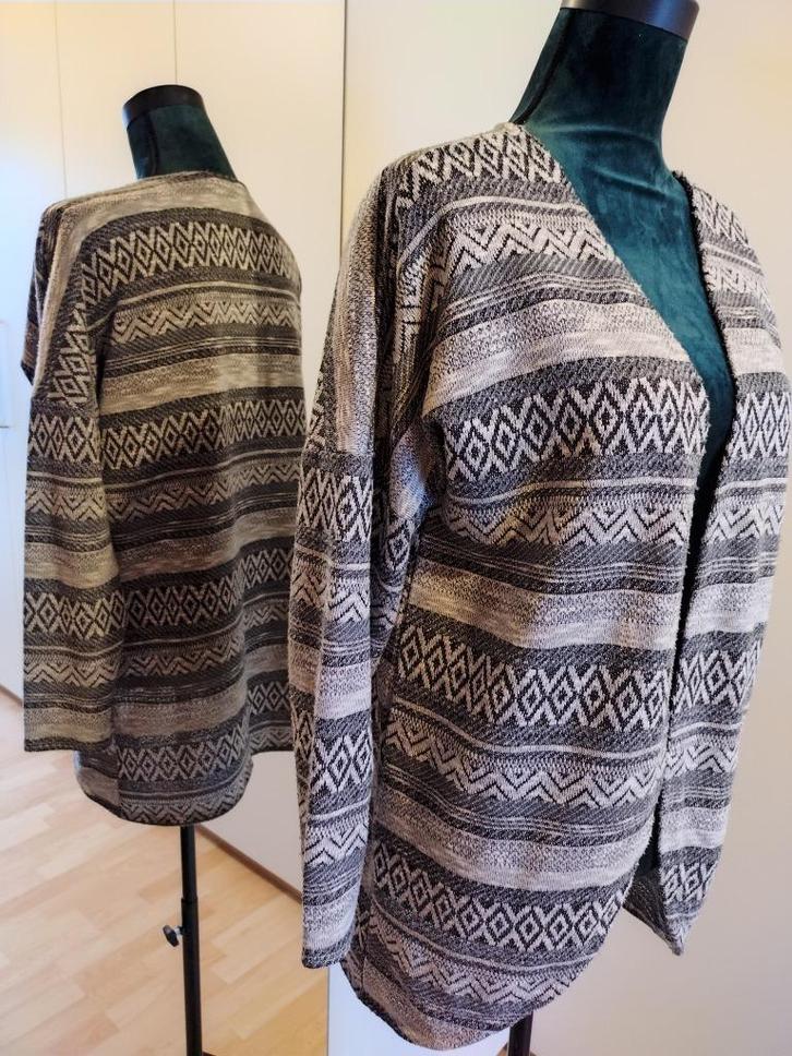 Te koop aangeboden: Lang dames vest , Kleding | Dames, Truien en Vesten, Zo goed als nieuw, Maat 38/40 (M), Grijs, Ophalen of Verzenden