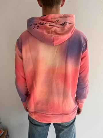 Hollister Hoodie Kleurrijk Maat M beschikbaar voor biedingen