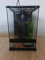 Terrarium van exo terra, Dieren en Toebehoren, Reptielen en Amfibieën | Toebehoren, Ophalen, Zo goed als nieuw