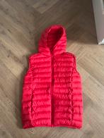 MNG MANGO bodywarmer jas rood als nieuw maat 164, Jongen of Meisje, Mango, Ophalen of Verzenden, Zo goed als nieuw