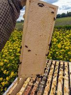 Heerlijke rauwe honing van de imker Nieuwe Pekela, 🍯🐝🌸, Ophalen