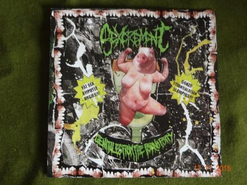 Sexcrement - Genitalis from theporno pottv, Cd's en Dvd's, Cd's | Hardrock en Metal, Zo goed als nieuw, Ophalen of Verzenden