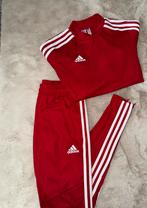 Adidas Trainingspak, Overige typen, Nieuw, Ophalen of Verzenden, Maat 34 (XS) of kleiner
