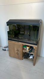 Aquarium (80L) HS aqua platy, Dieren en Toebehoren, Vissen | Aquaria en Toebehoren, Ophalen of Verzenden, Gebruikt, Leeg aquarium