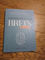 Boek Charlotte Labee Overprikkeld Brein zgan, Boeken, Ophalen of Verzenden, Zo goed als nieuw