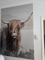 Mooie Schotse hooglander van glas, Huis en Inrichting, Woonaccessoires | Schilderijen, Tekeningen en Foto's, Ophalen, Zo goed als nieuw