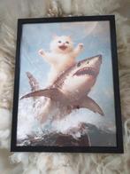 Superleuke ingelijste afbeelding Kat op witte haai nu €9,95, Huis en Inrichting, Minder dan 50 cm, Nieuw, Ophalen of Verzenden