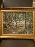 Schilderij van mooi landschap gesigneerd door Otto Bischoff, Ophalen