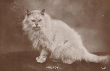 POES UIT 1926 GLANZENDE ZEER MOOIE KAART KH210 beschikbaar voor biedingen