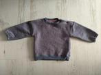 Hema sweater maat 80, Meisje, Ophalen of Verzenden, Zo goed als nieuw, Hema