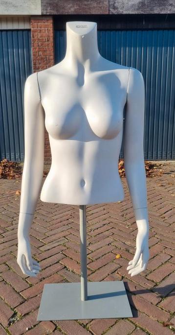 3 Dames Torso's - Verstelbaar beschikbaar voor biedingen