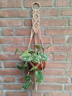 Macramé plantenhanger, Ophalen of Verzenden, Nieuw
