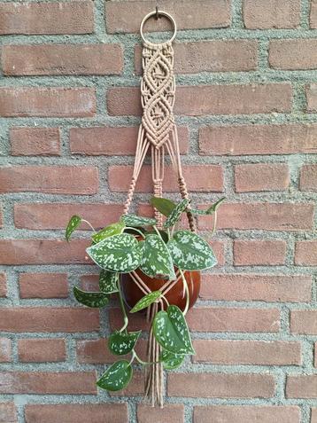 Macramé plantenhanger beschikbaar voor biedingen