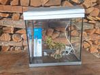 aquarium, Dieren en Toebehoren, Vissen | Aquaria en Toebehoren, Ophalen, Gebruikt, Leeg aquarium