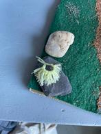 Schleich handgemaakt vliegen masker, Ophalen of Verzenden, Nieuw, Overige materialen