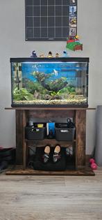 Mooi (niet al te groot) aquarium met leuk meubel., Ophalen, Gebruikt, Gevuld zoetwateraquarium