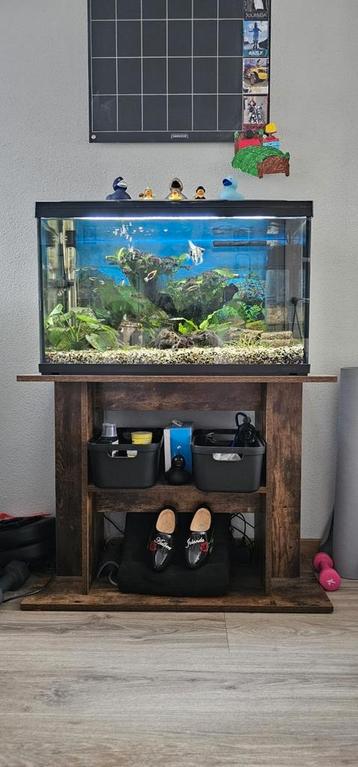 Mooi (niet al te groot) aquarium met leuk meubel.  beschikbaar voor biedingen