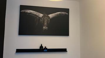 Schilderij Buffel + Wandplank beschikbaar voor biedingen