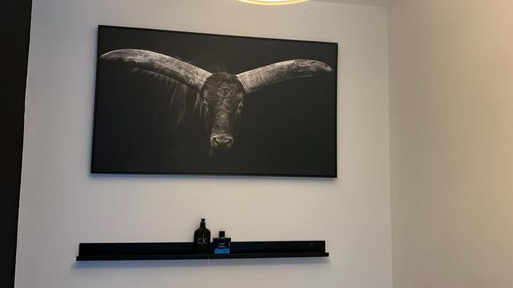Schilderij Buffel + Wandplank, Huis en Inrichting, Woonaccessoires | Schilderijen, Tekeningen en Foto's, Zo goed als nieuw, Schilderij