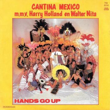 Cantina Mexico -Hands Go Up