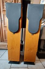 Luidsprekers chario, Audio, Tv en Foto, Zo goed als nieuw, 60 tot 120 watt, Front, Rear of Stereo speakers, Ophalen