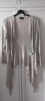 Ana Alcazar vest maat 44 zgan, Kleding | Dames, Beige, Maat 42/44 (L), Ophalen of Verzenden, Zo goed als nieuw