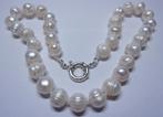 12 mm Parelcollier, wit, 68 gr, 44,5 cm, nieuw, echte Parels, Sieraden, Tassen en Uiterlijk, Kettingen, Verzenden, Wit, Nieuw