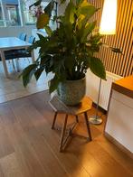 Plantentafeltje oud  eikenhout stevig., Huis en Inrichting, Tafels | Bijzettafels, Ophalen, Minder dan 55 cm, Gebruikt, Oud