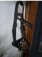 Passier Fortuna hoofdstel maat full, Dieren en Toebehoren, Ophalen of Verzenden, Gebruikt, Dressuur