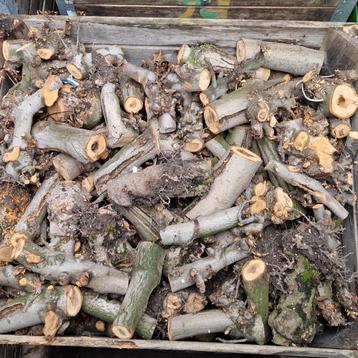 Te koop verse appelhout gezaagd in kist beschikbaar voor biedingen