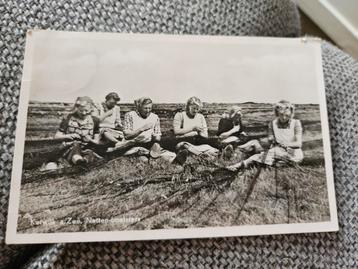  Katwijk aan Zee netten boetsters beschikbaar voor biedingen