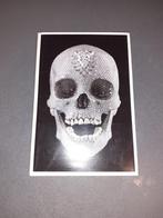 Damien Hirst, For The Love Of God, Making the Diamond Skull, Beeldhouwkunst, Ophalen of Verzenden, Zo goed als nieuw, Damien Hirst