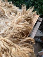 Lossige Racka schapenvacht ongewassen, Ophalen of Verzenden, Zo goed als nieuw, Meerdere media