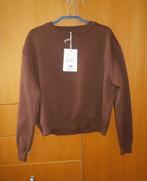 Mooi gebreid set broek en sweater M/L Marsel Deniz bruin nw, Marsel Deniz, Ophalen of Verzenden, Nieuw