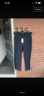 Lady day travelstof broek maat xxl ongedragen, Zwart, Maat 46/48 (XL) of groter, Ophalen of Verzenden, Zo goed als nieuw