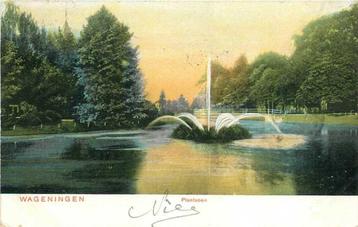 (380-237-031) Wageningen Plantsoen beschikbaar voor biedingen