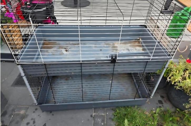 Konijnenkooi, Dieren en Toebehoren, Knaagdieren en Konijnen | Hokken en Kooien, Gebruikt, Kooi, 90 cm of meer, 75 tot 110 cm, Konijn