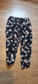 Eksept pantalon kraanvogels L, Kleding | Dames, Maat 38/40 (M), Overige kleuren, Ophalen of Verzenden, Eksept