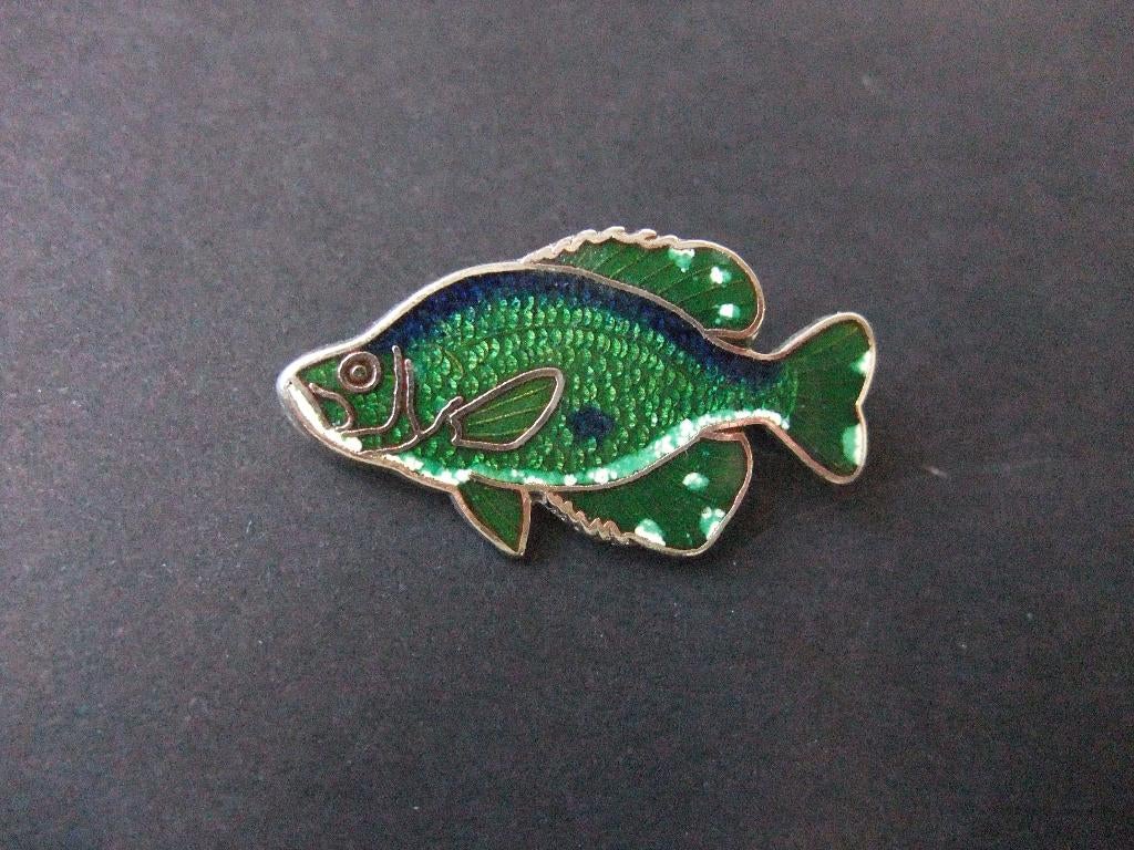 Zonnebaars zoetwatervis, emaille pin, Ophalen of Verzenden, Gebruikt, Overige onderwerpen
