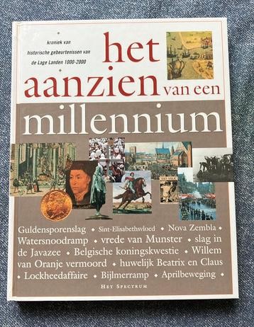 Het aanzien van een millennium beschikbaar voor biedingen